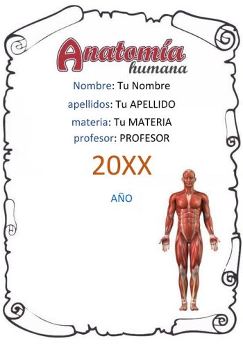 Portadas de Anatomía