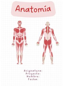portada de anatomia (13)