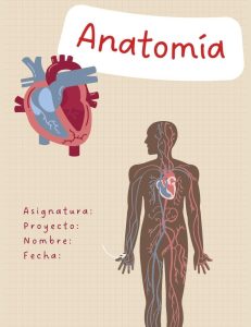 portada de anatomia (8)