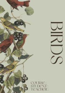 Portadas de pájaros en inglés 3