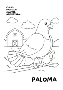 Portadas de palomas para colorear 2