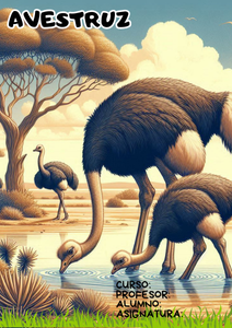 Portadas de avestruces para libretas 1