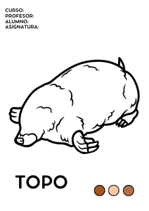 Portadas de topo para colorear 3